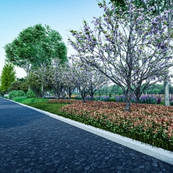道路绿化